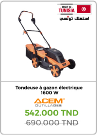 tondeuse-a-gazon-electrique-acem-moteur-a-induction-ti160-watt