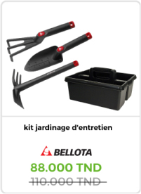 kit-jardinage-d-entretient-2-bellota