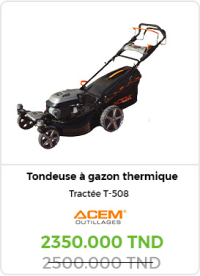 tondeuse-a-gazon-electrique-acem-moteur-a-induction-ti160-watt