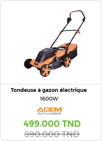 tondeuse-a-gazon-electrique-moteur-a-induction-ti160-1600-w-acem