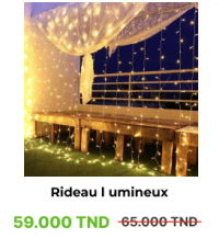 Rideau Lumineux - décoration - 300 led - 220 V - 3MX3M