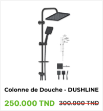 Colonne de Douche DUSHLINE - Modèle 2418