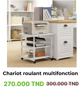 Chariot roulant multifonction  - Dimensions 65x60x40 cm