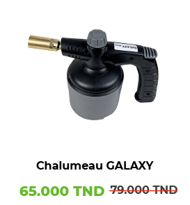 Chalumeau à Gaz Rechargeable EXPRESS 8200 - Idéal pour Soudage et Camping