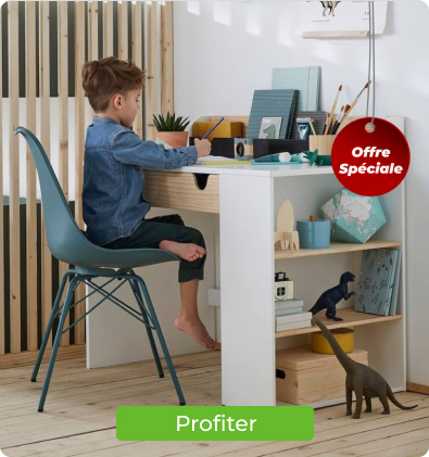 promos_chaises_et_poufs