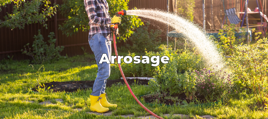arrosage